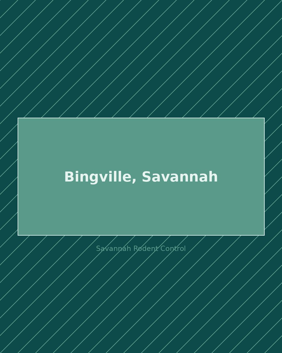 Residential street in Bingville, Savannah — rodent control service area