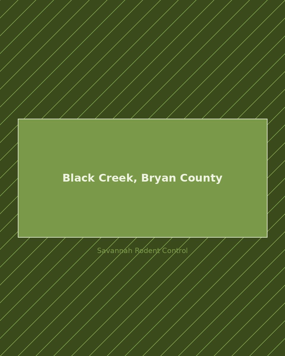 Residential street in Black Creek, Bryan County — rodent control service area