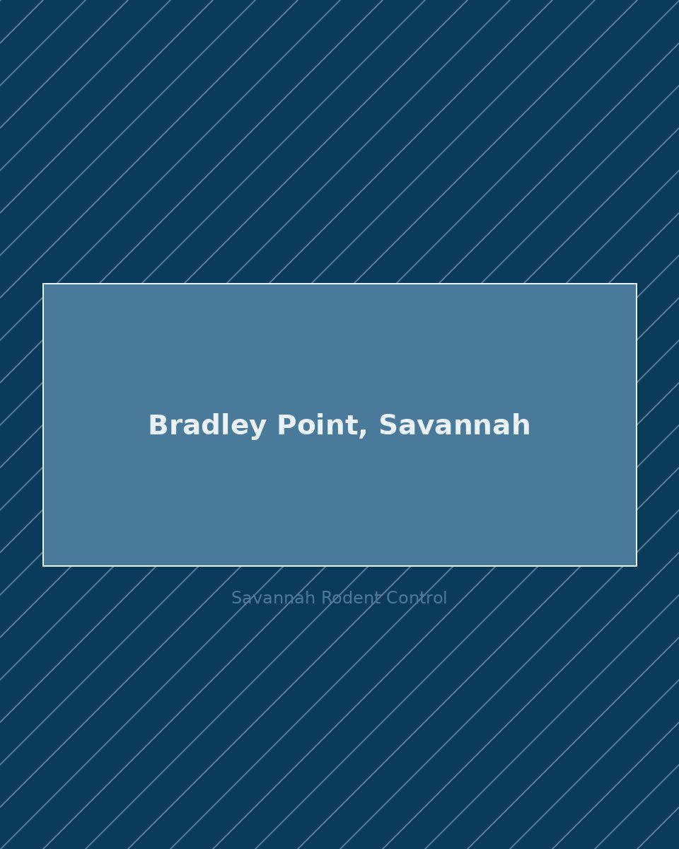 Residential street in Bradley Point, Savannah — rodent control service area