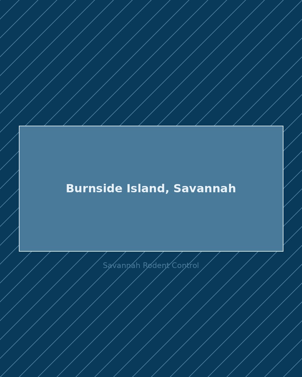 Residential street in Burnside Island, Savannah — rodent control service area
