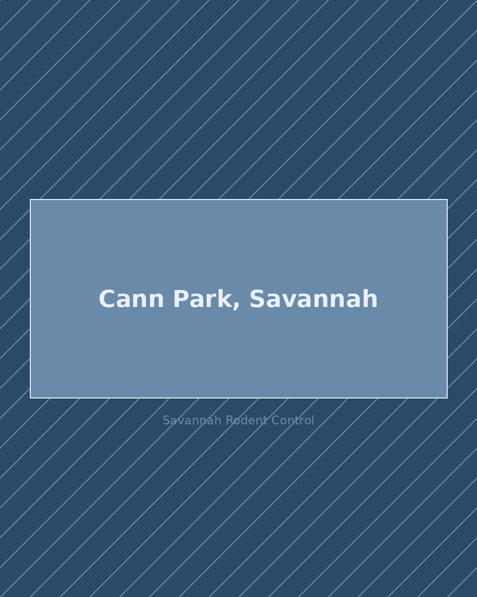 Residential street in Cann Park, Savannah — rodent control service area