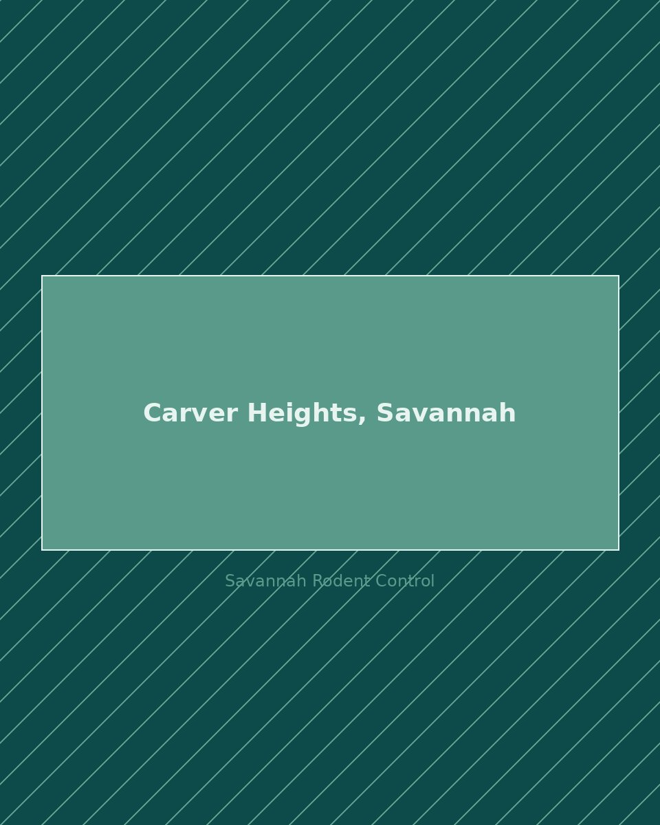 Residential street in Carver Heights, Savannah — rodent control service area
