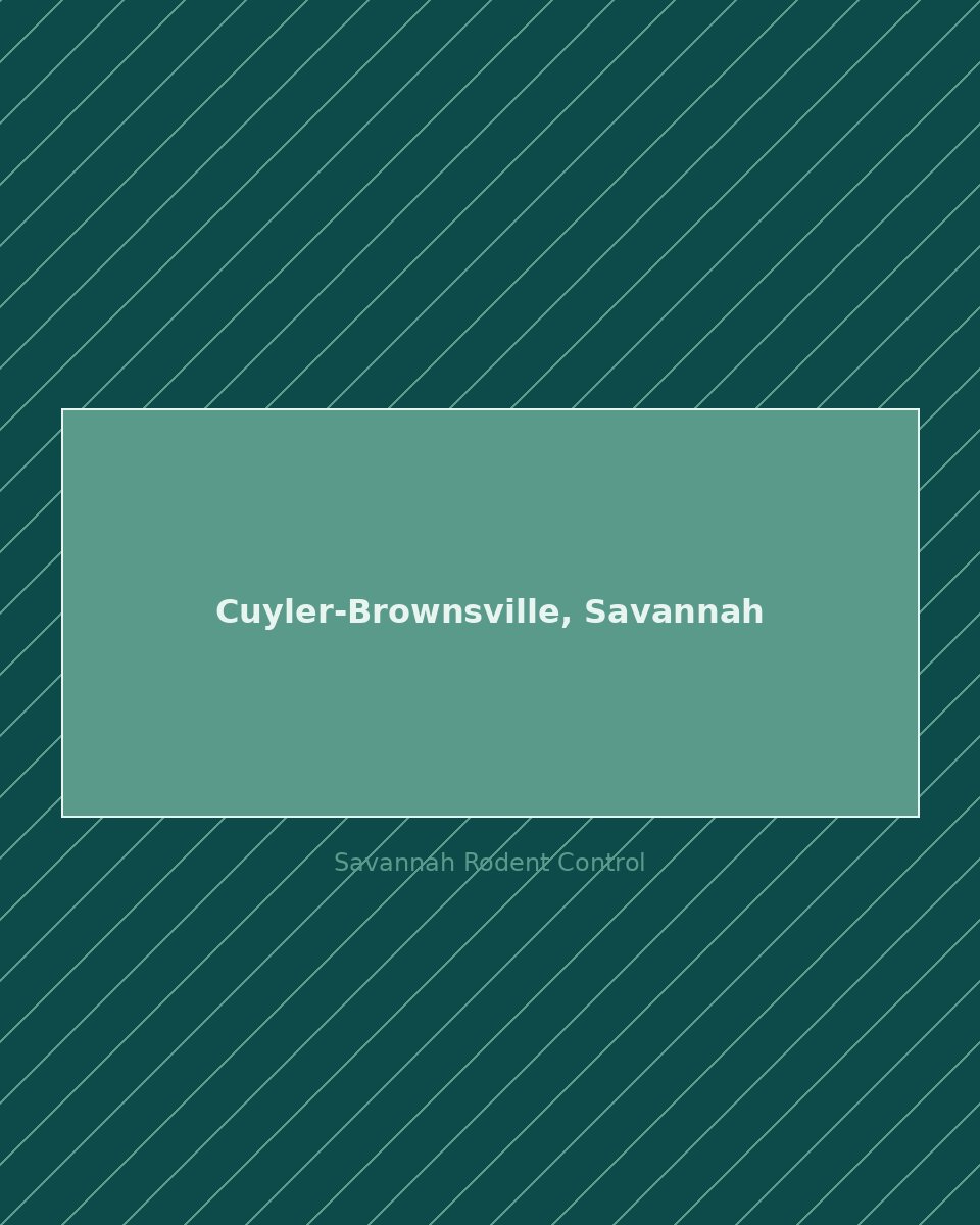 Residential street in Cuyler-Brownsville, Savannah — rodent control service area