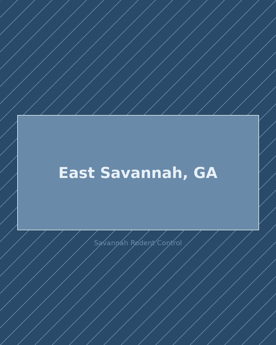 Residential street in East Savannah, GA — rodent control service area