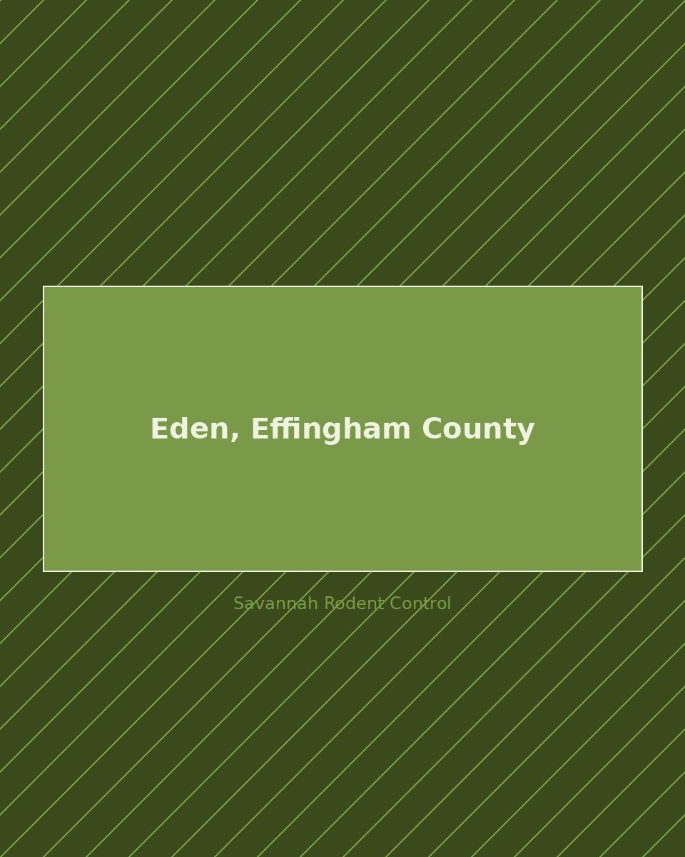 Residential street in Eden, Effingham County — rodent control service area