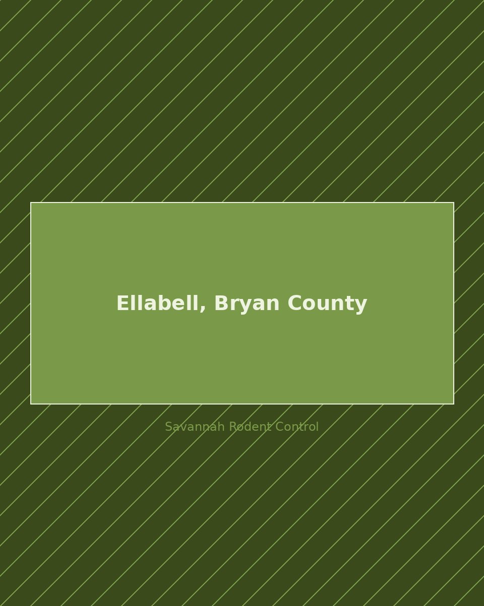 Residential street in Ellabell, Bryan County — rodent control service area