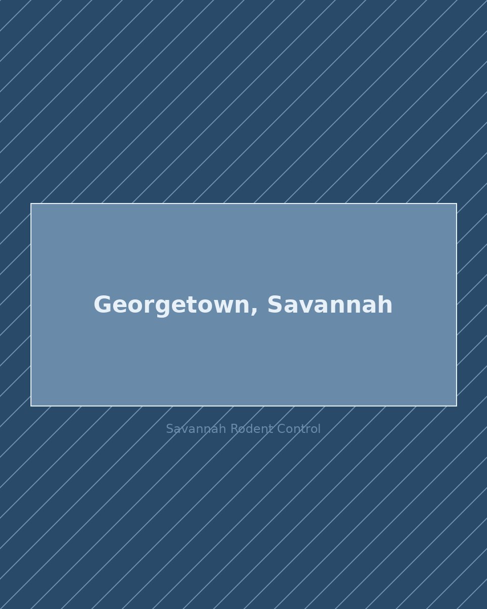 Residential street in Georgetown, Savannah — rodent control service area