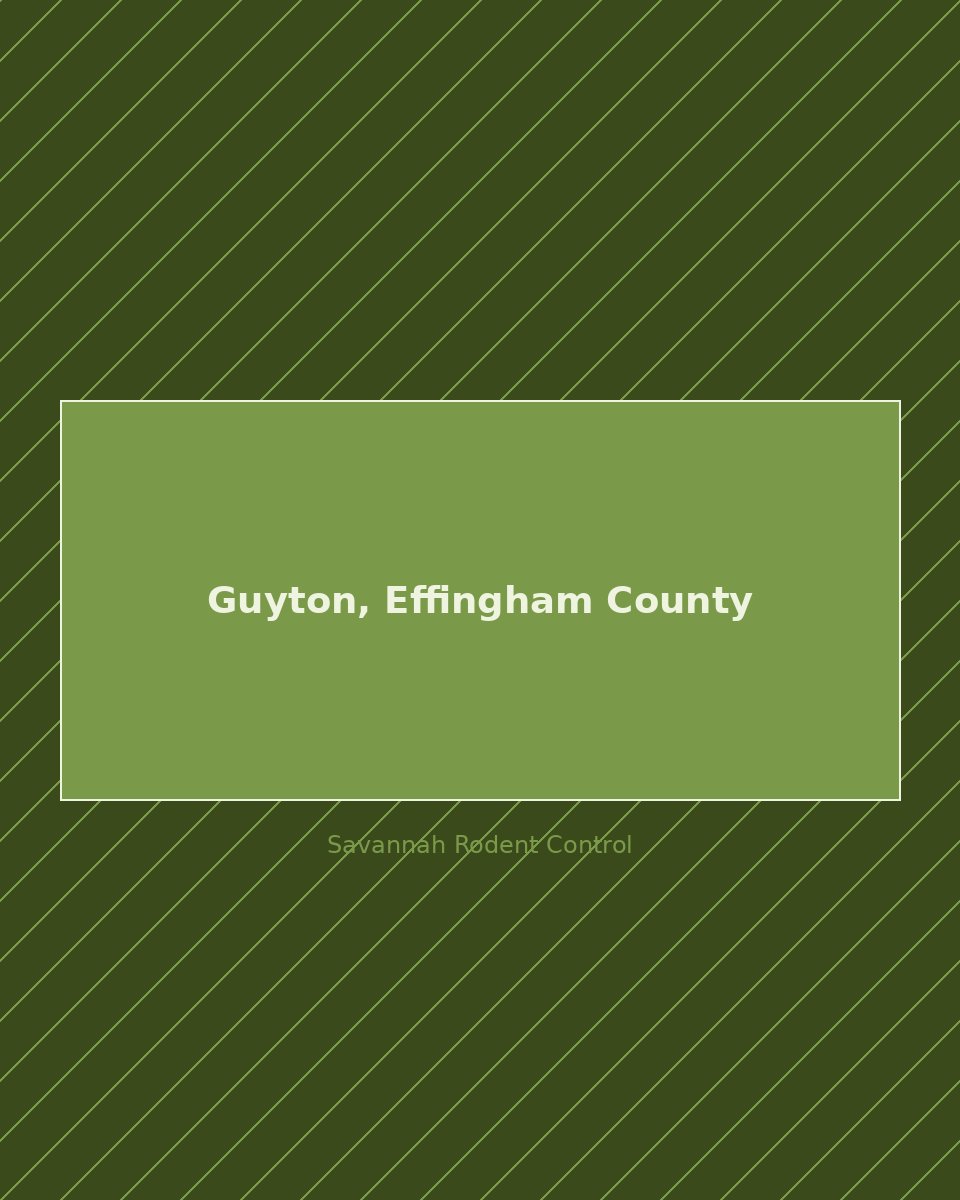 Residential street in Guyton, Effingham County — rodent control service area