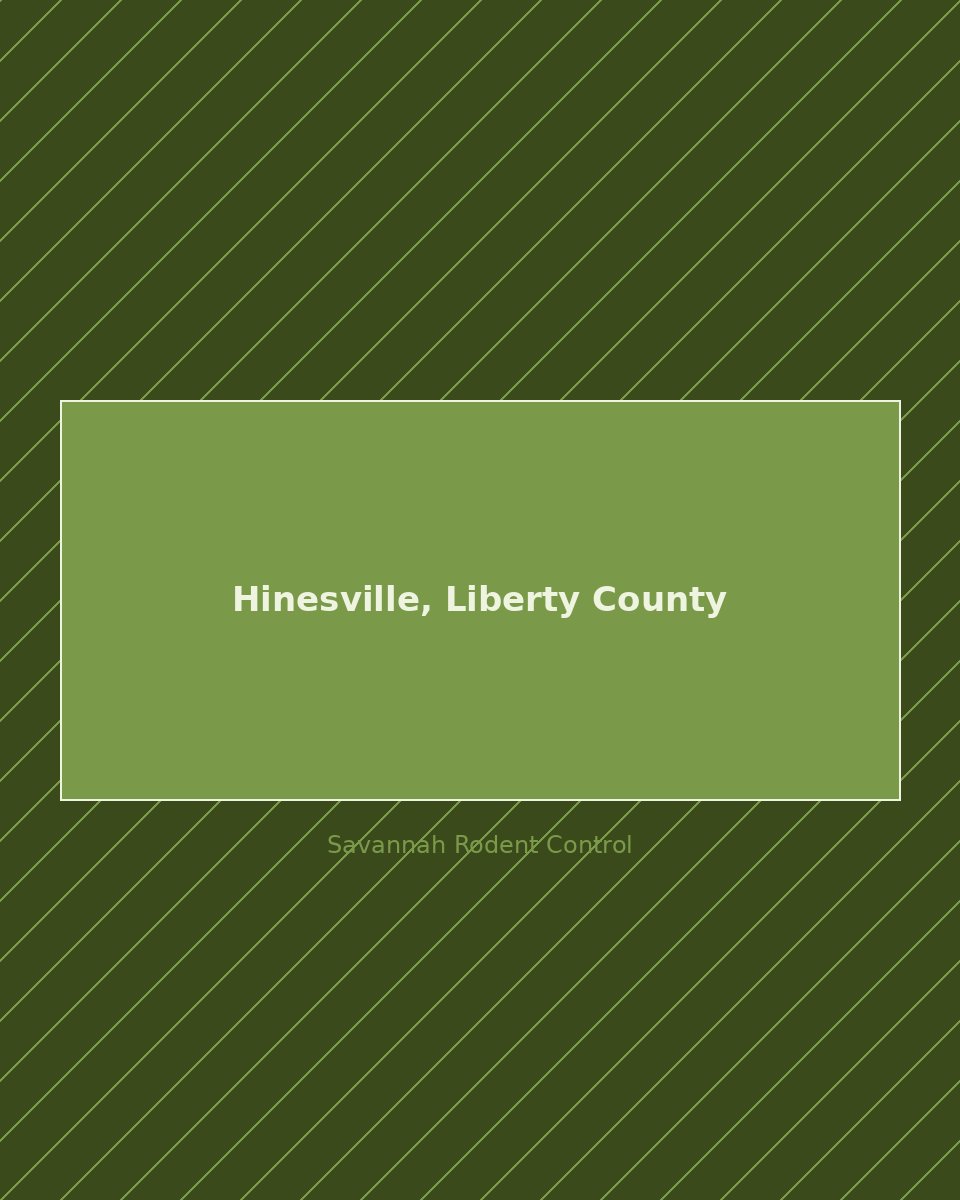 Residential street in Hinesville, Liberty County — rodent control service area