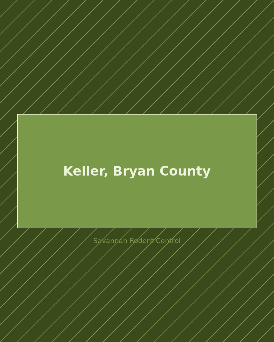 Residential street in Keller, Bryan County — rodent control service area
