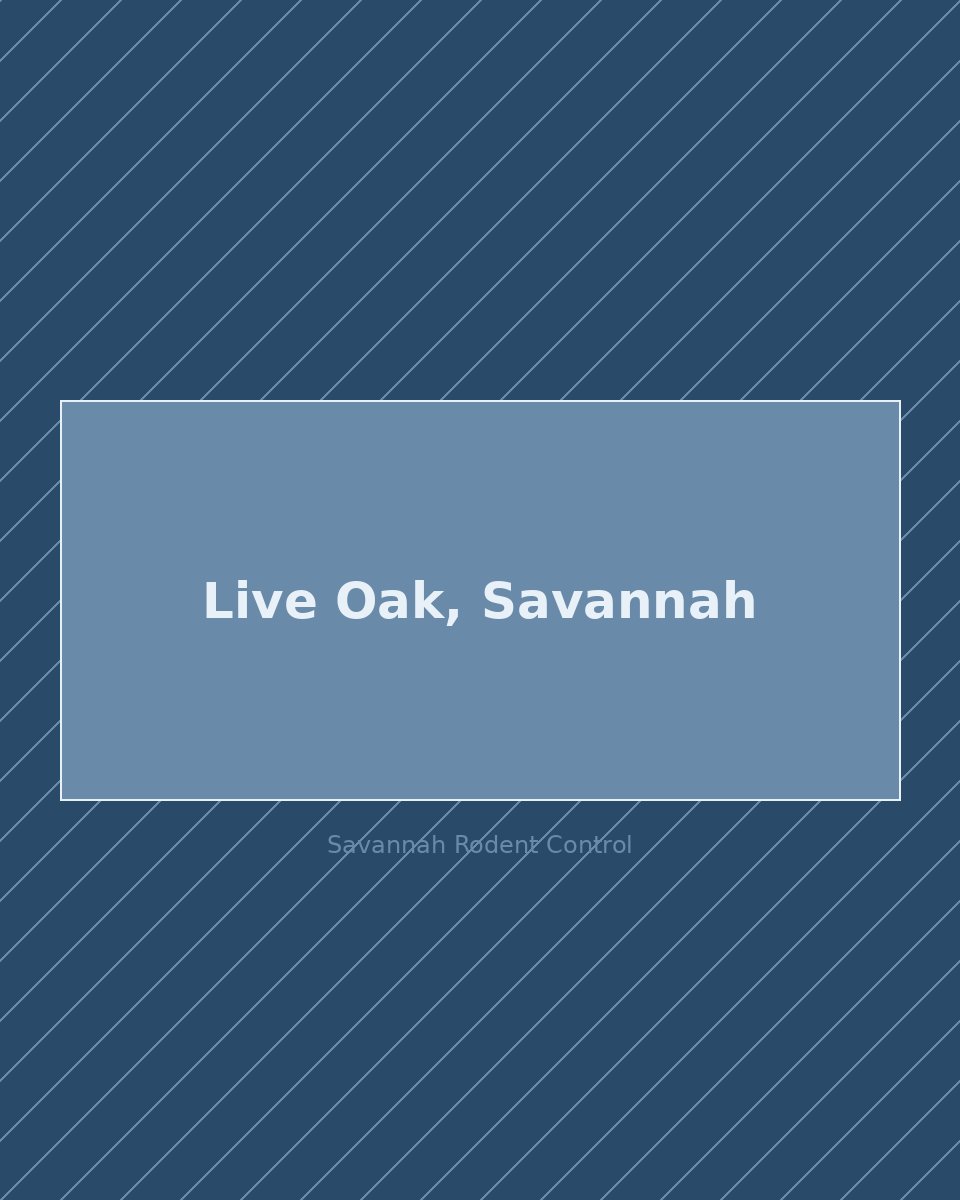 Residential street in Live Oak, Savannah — rodent control service area