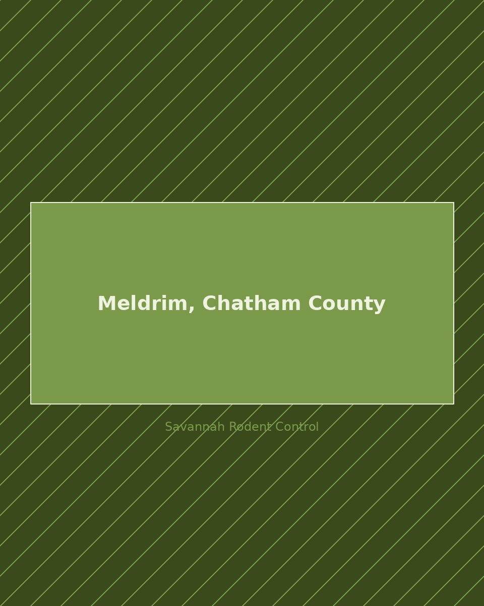 Residential street in Meldrim, Chatham County — rodent control service area