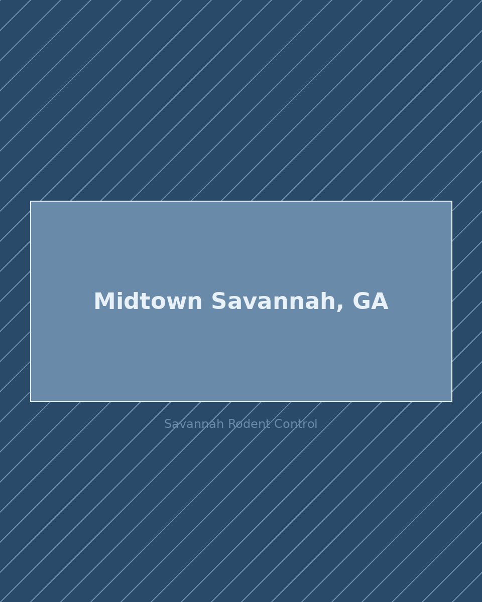 Residential street in Midtown Savannah, GA — rodent control service area
