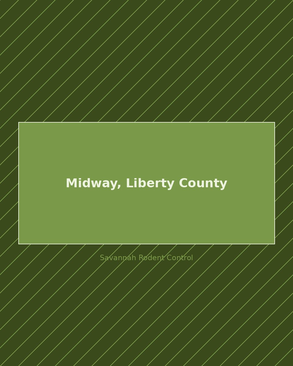 Residential street in Midway, Liberty County — rodent control service area