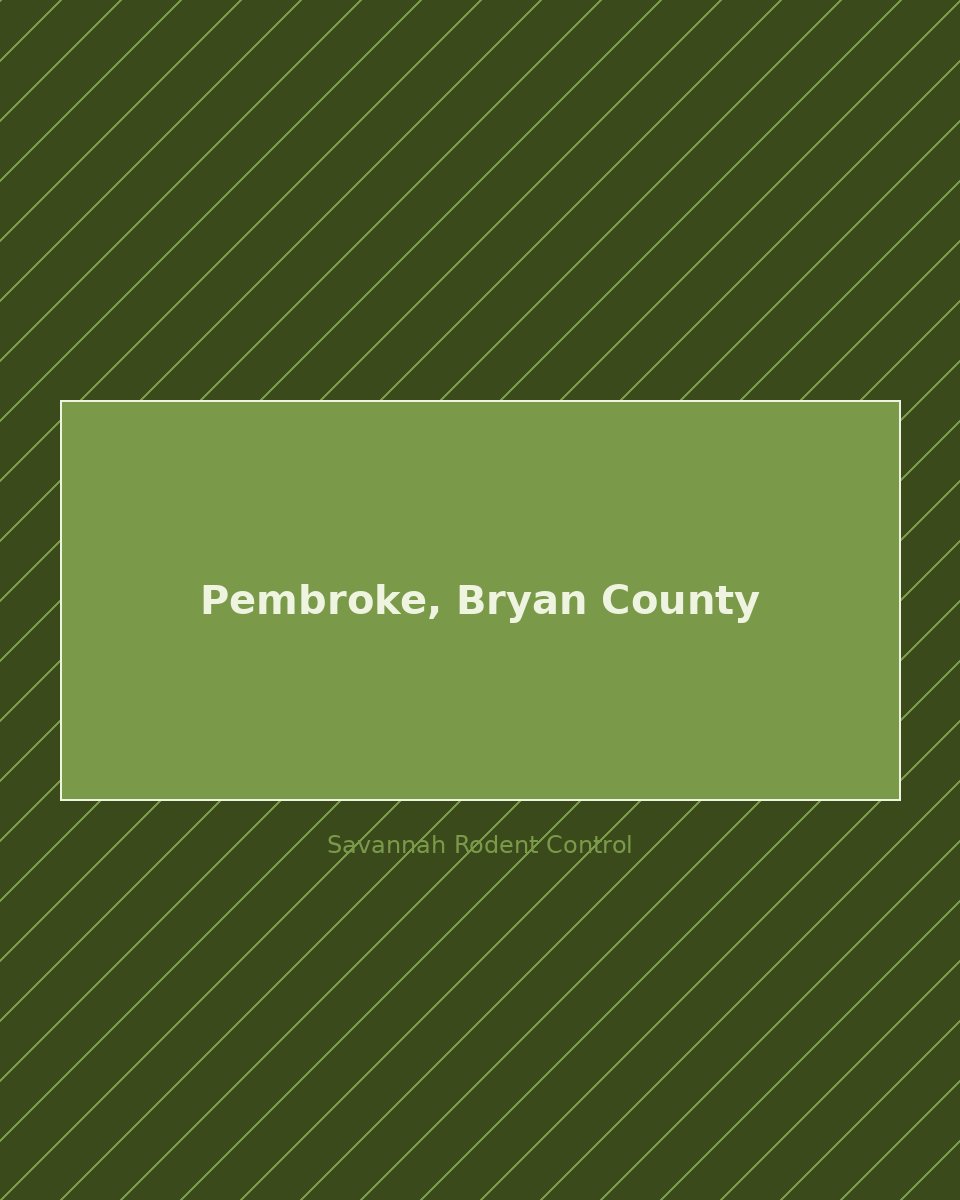 Residential street in Pembroke, Bryan County — rodent control service area