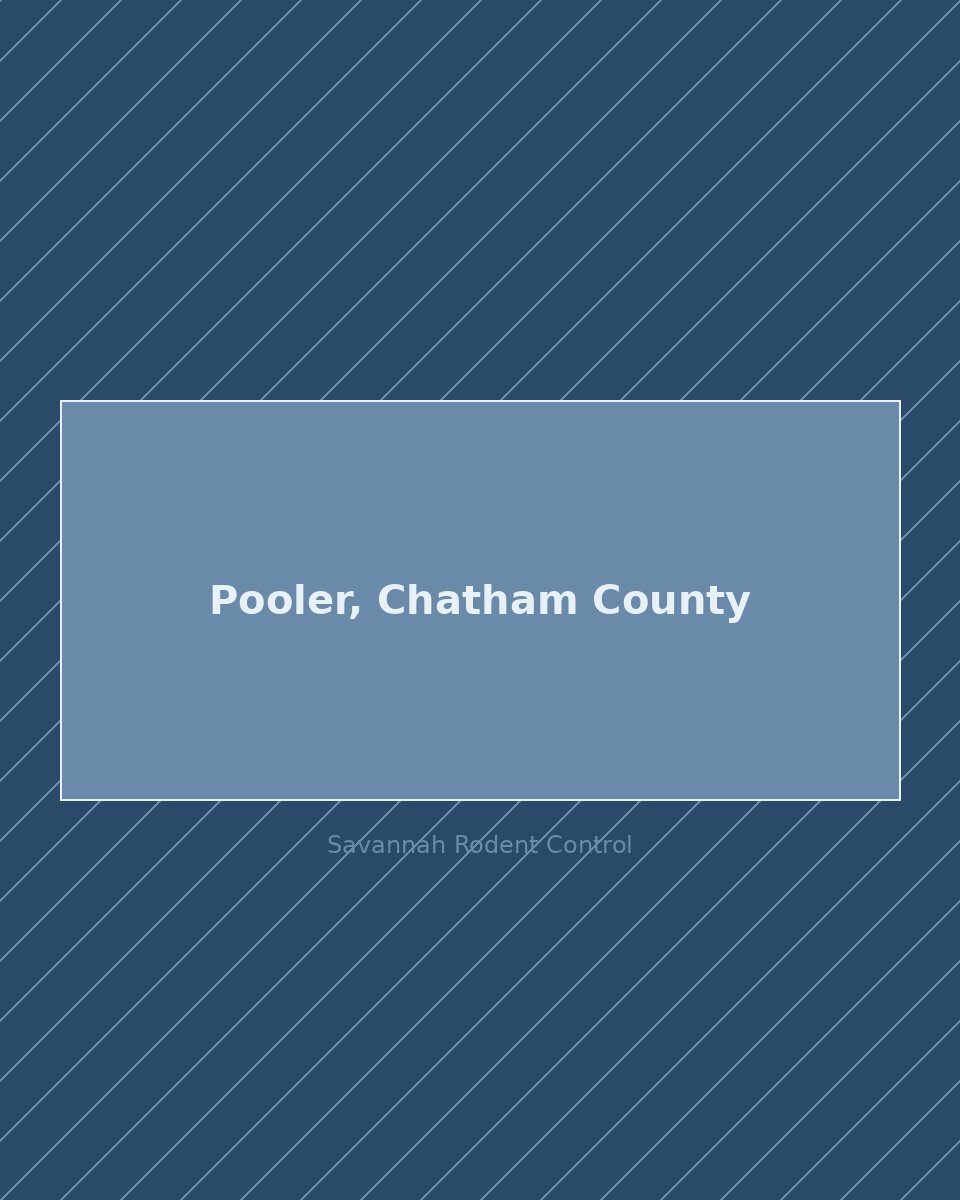 Residential street in Pooler, Chatham County — rodent control service area