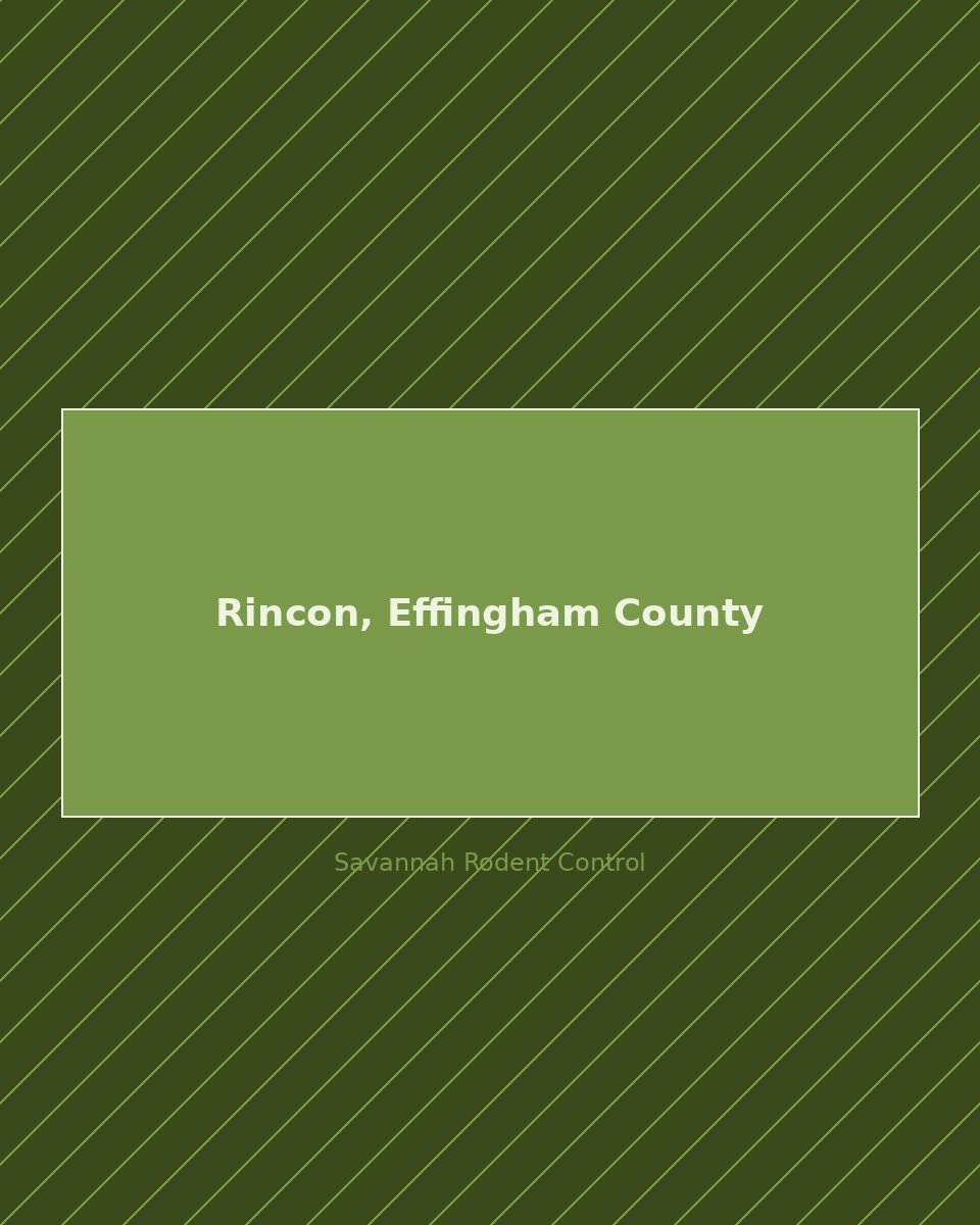 Residential street in Rincon, Effingham County — rodent control service area