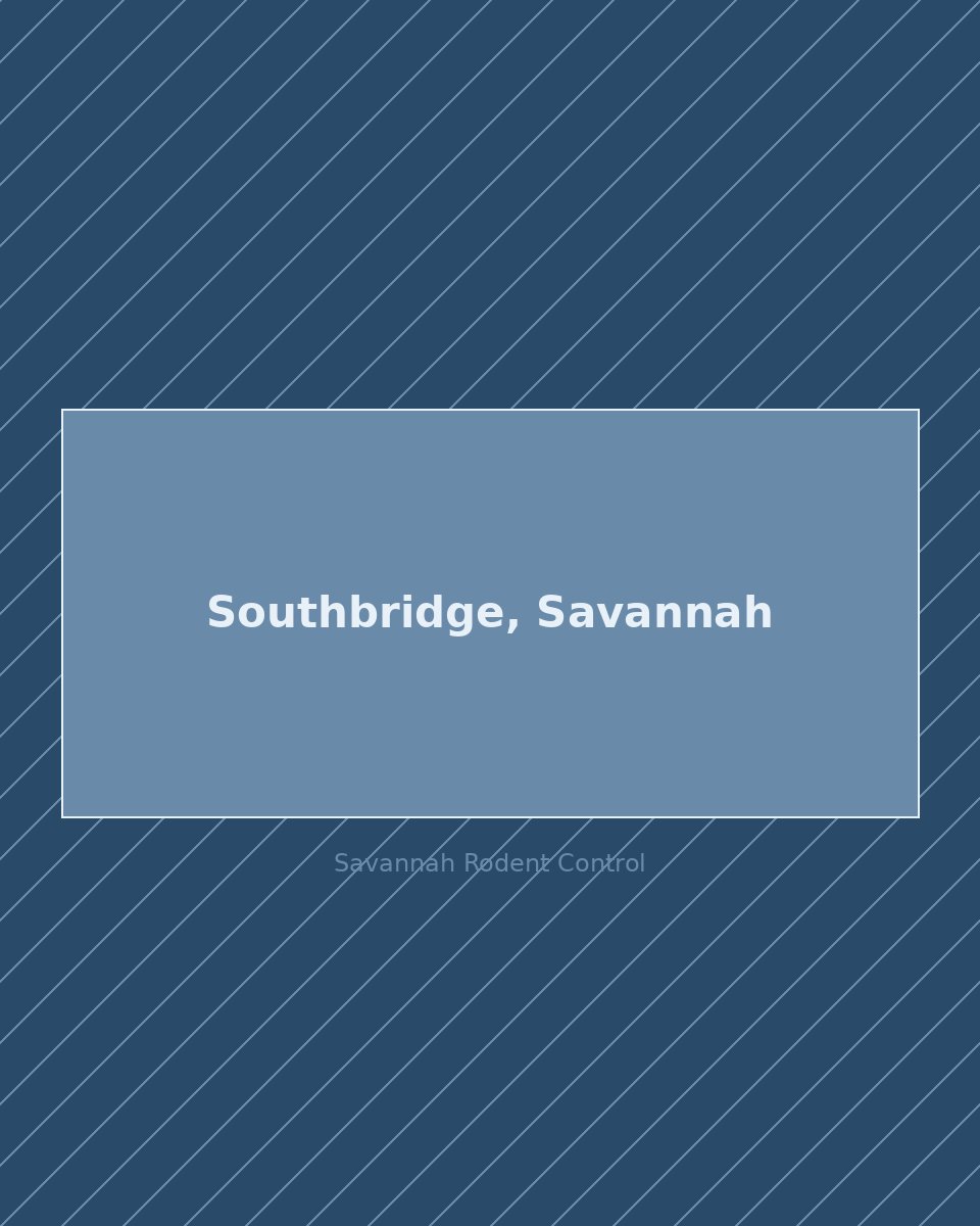 Residential street in Southbridge, Savannah — rodent control service area