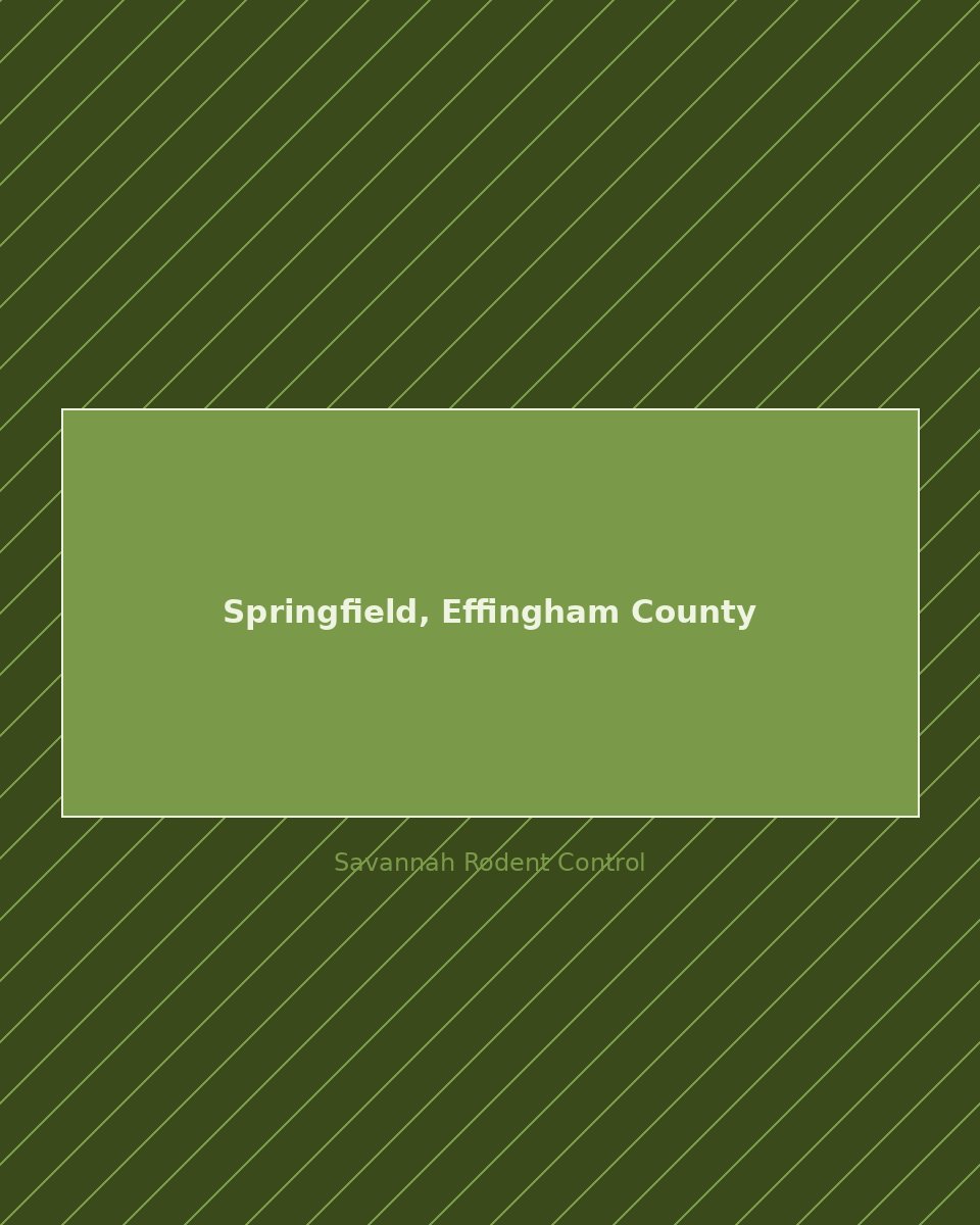 Residential street in Springfield, Effingham County — rodent control service area