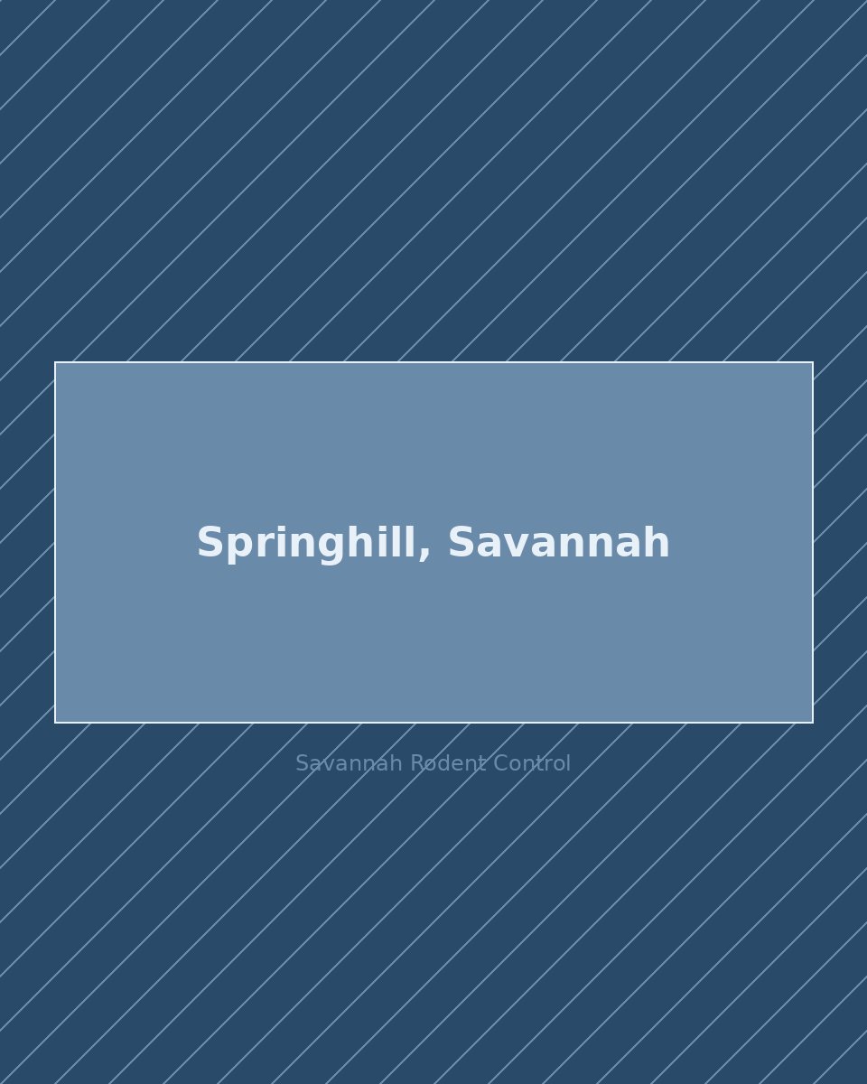 Residential street in Springhill, Savannah — rodent control service area