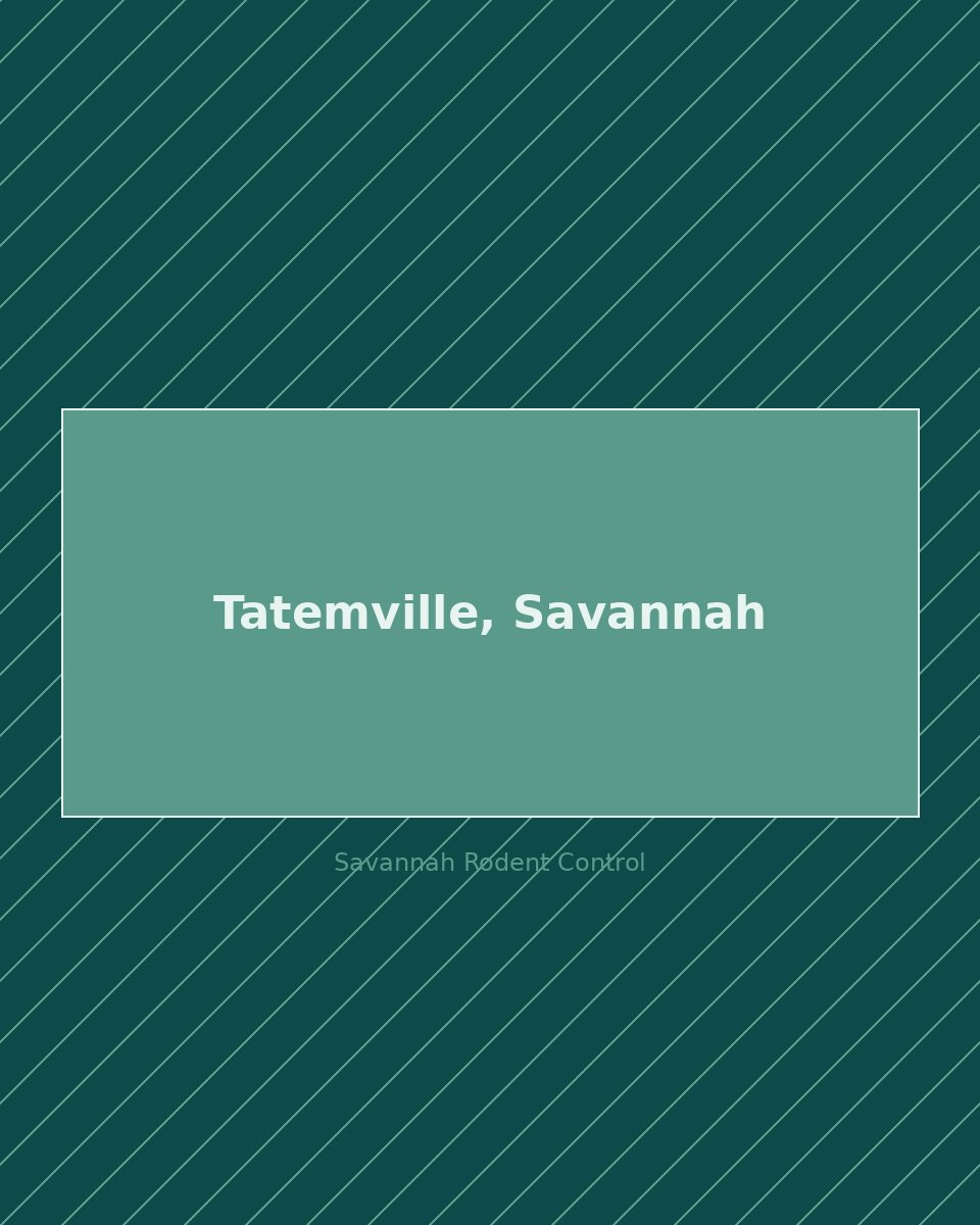 Residential street in Tatemville, Savannah — rodent control service area