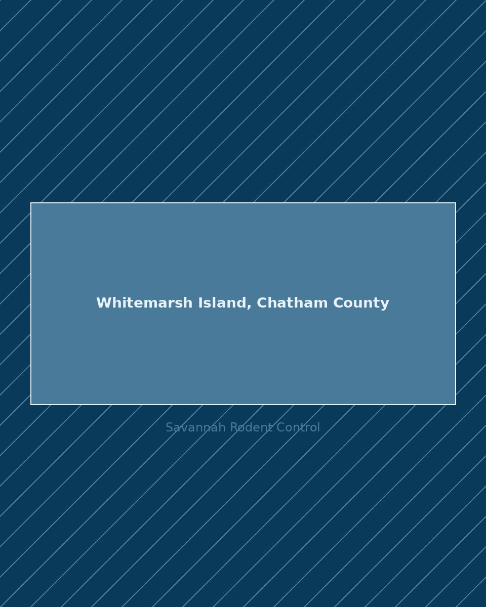 Residential street in Whitemarsh Island, Chatham County — rodent control service area