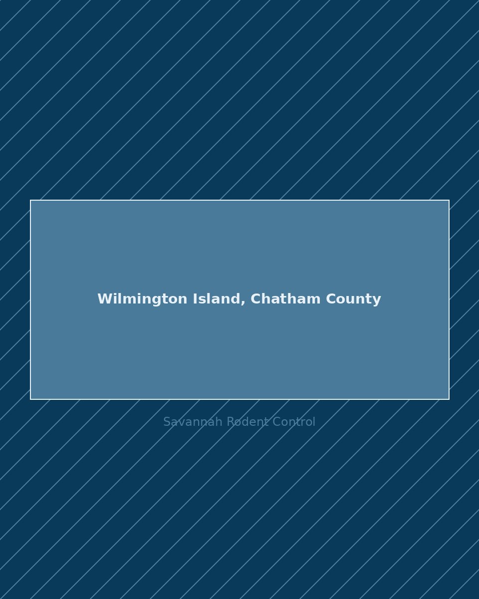 Residential street in Wilmington Island, Chatham County — rodent control service area