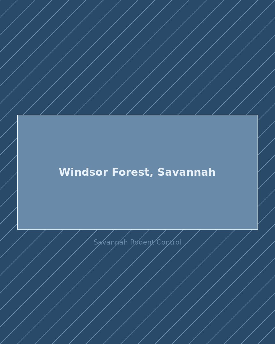 Residential street in Windsor Forest, Savannah — rodent control service area
