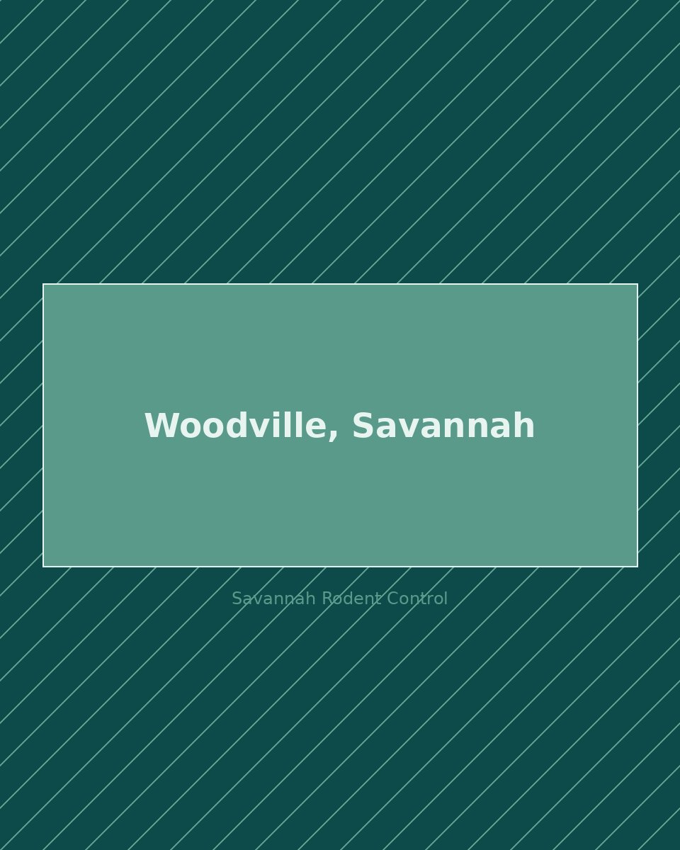 Residential street in Woodville, Savannah — rodent control service area