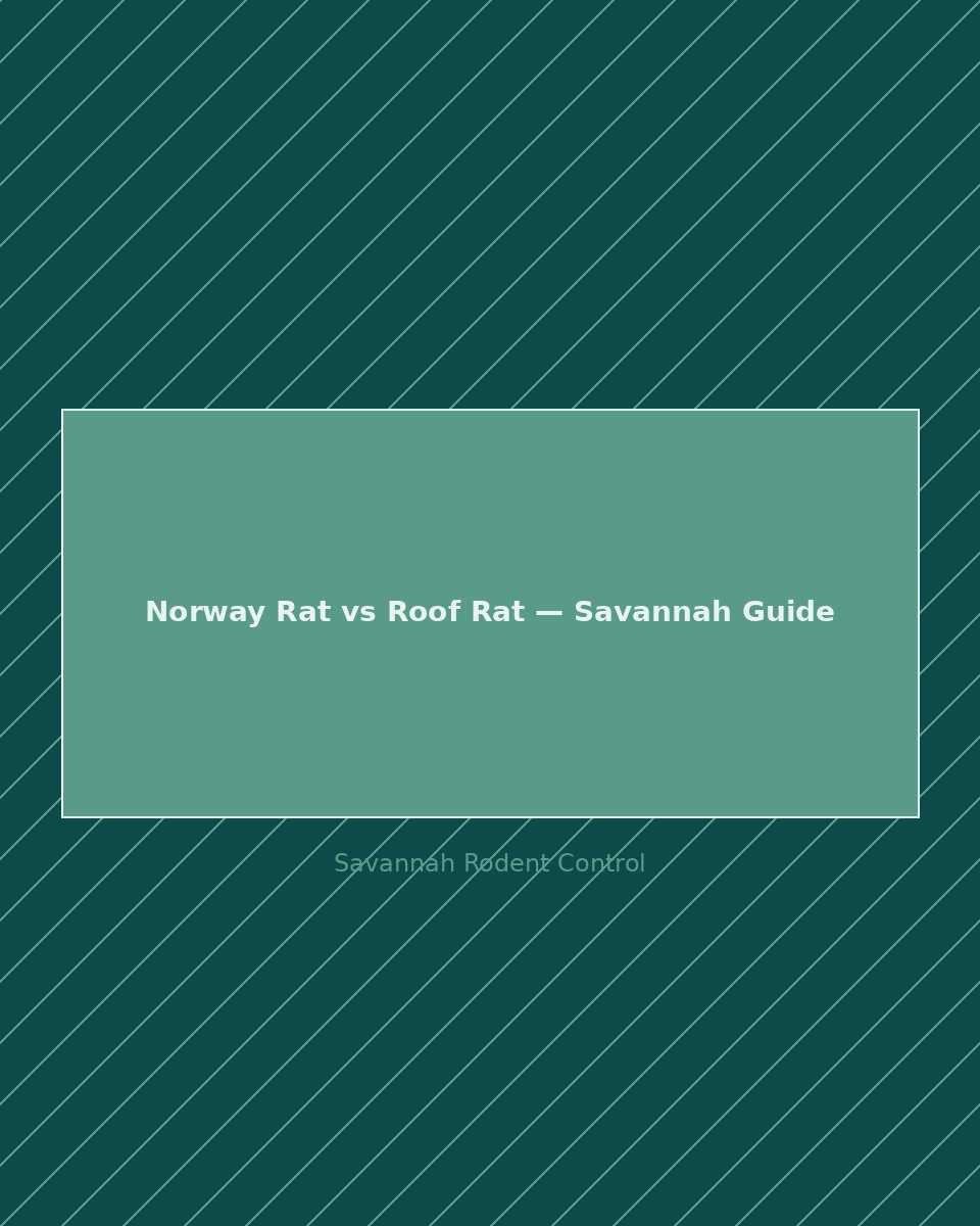 Norway rat and roof rat size and appearance comparison — Savannah Georgia rodent identification